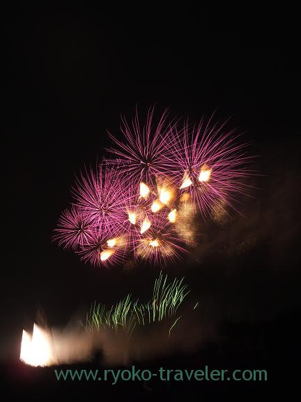 Edogawa ward fireworks display1 2013