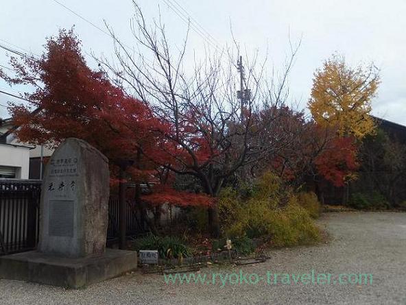 Autumn leaves, Gango-ji (Nara)